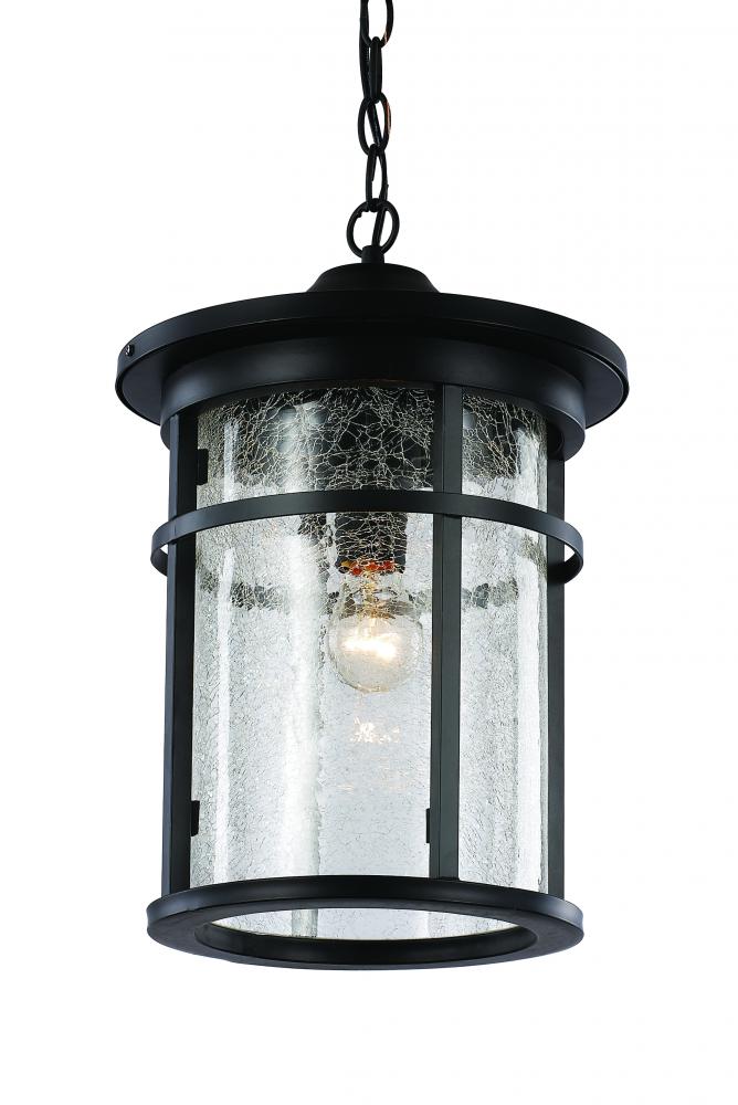 Avalon Crackled Glass Outdoor Hanging Pendant Light with Open Base
