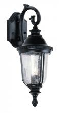 Trans Globe 4020 BG - Chessie 20-In. 1-Light Crackle Glass Coach Style Wall Lantern