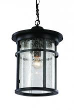 Trans Globe 40386 BK - Avalon Crackled Glass Outdoor Hanging Pendant Light with Open Base