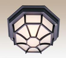 Trans Globe 40582 BG - Benkert 1-Light, Weblike Design, Enclosed Flush Mount Ceiling Lantern Light