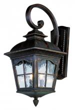 Trans Globe 5429 AR - Briarwood 2-Light Rustic, Chesapeake Embellished, Armed Water Glass and Metal Wall Lantern
