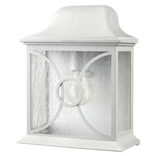 Canarm IOL9211 - Outdoor, 1 Bulb Outdoor Lantern, Frosted Glass, 60W Type A or B