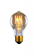 Canarm B-A60-23LG - Bulb, Edison Bulbs, 60W E26 -G-, Light Golden Glass, A60 Cone Shape, Dimmable, 2500 hours