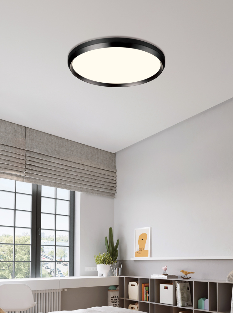 Skylight Flush Mount